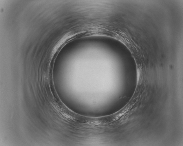 X0000059040195200510171857