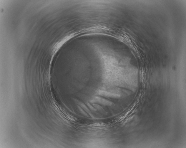 X0000059040196200510171857