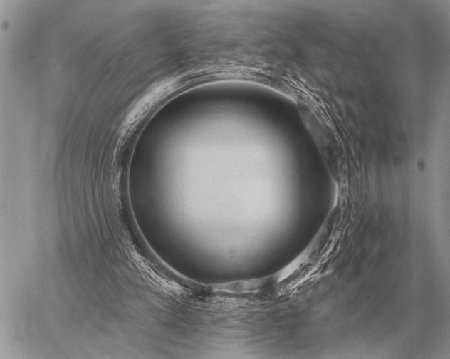 X0000059040197200510171857