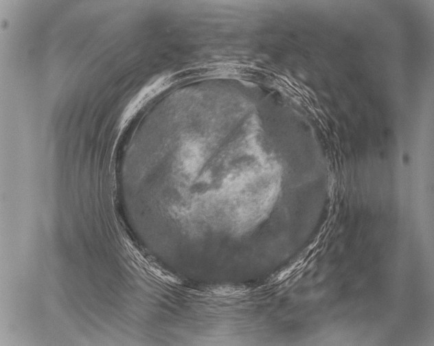 X0000059040198200510171857