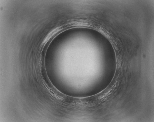 X0000059040199200510171857