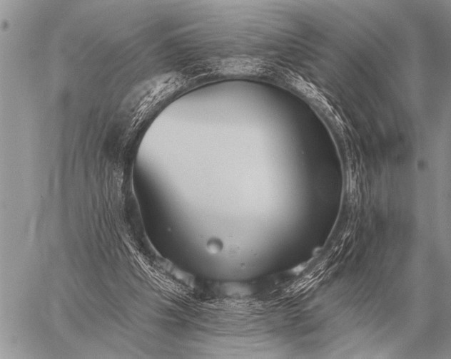 X0000059040201200510171857