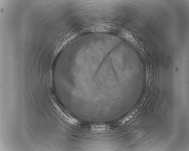 X0000059040202200510171857