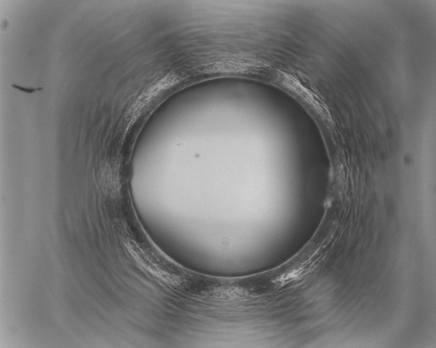 X0000059040203200510171857