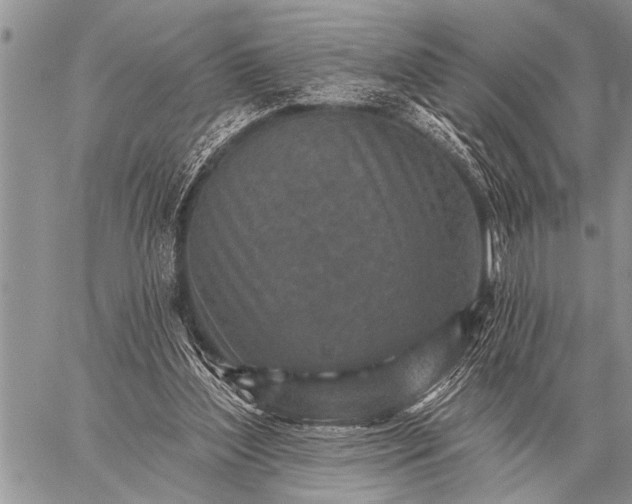 X0000059040204200510171857