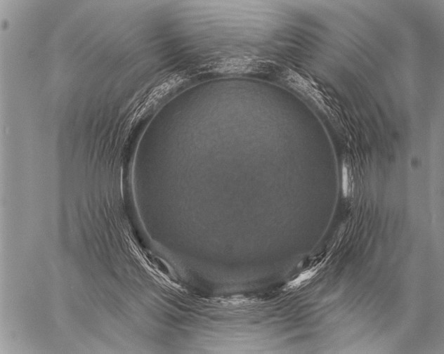 X0000059040205200510171857