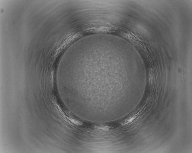 X0000059040206200510171857