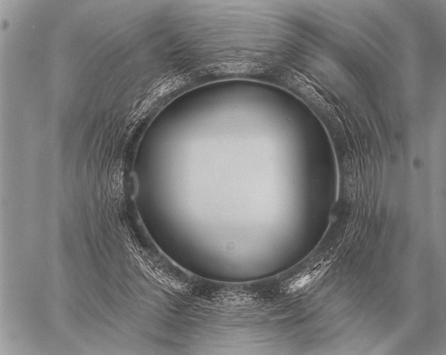 X0000059040207200510171857