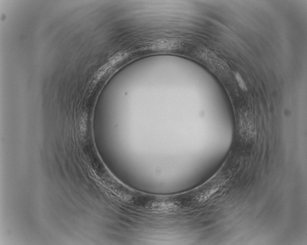 X0000059040208200510171857