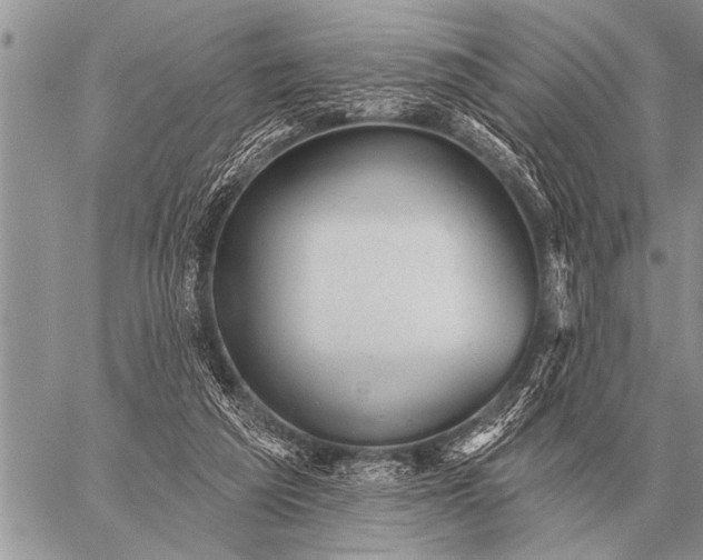 X0000059040209200510171857