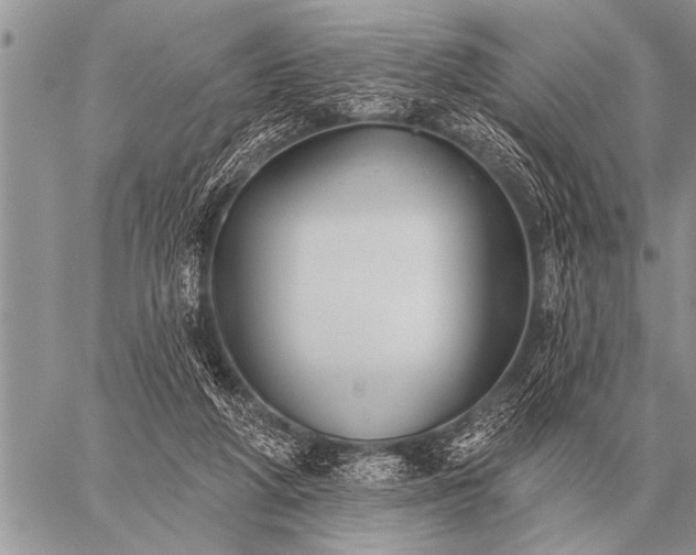 X0000059040210200510171857