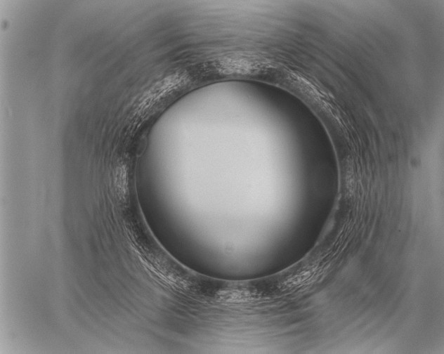 X0000059040211200510171857