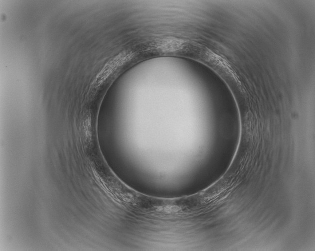 X0000059040212200510171857