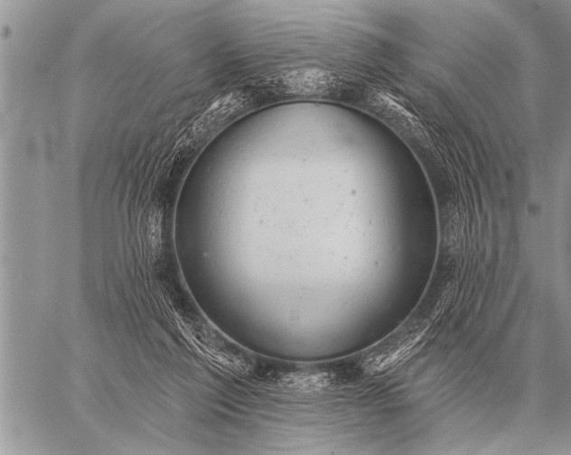 X0000059040213200510171857