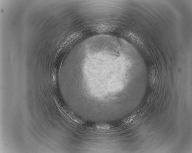 X0000059040214200510171856