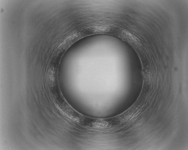 X0000059040215200510171856