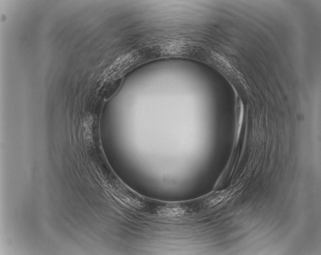 X0000059040217200510171856