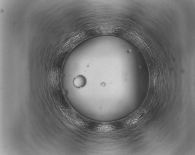 X0000059040218200510171856