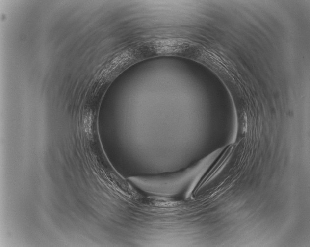 X0000059040219200510171856