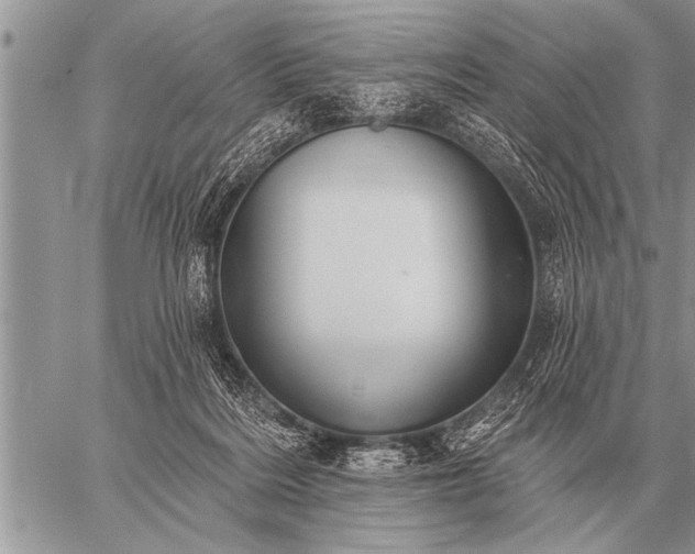 X0000059040220200510171856