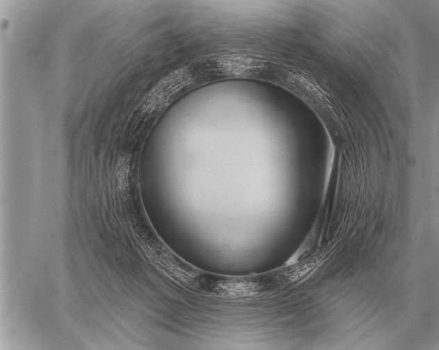 X0000059040221200510171856