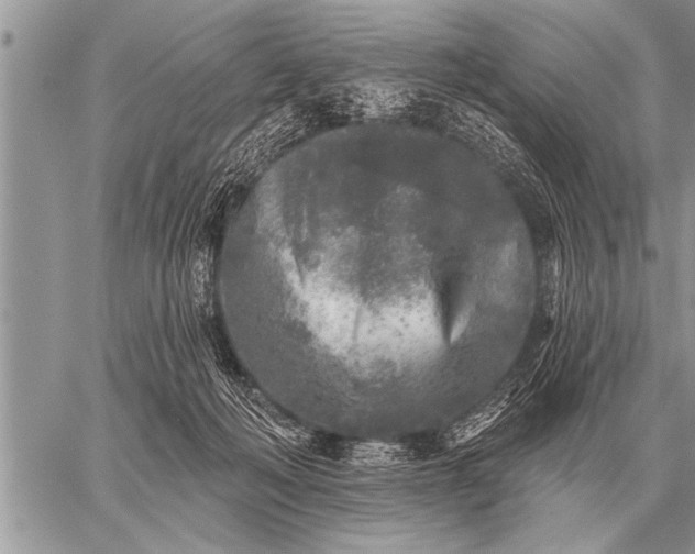 X0000059040222200510171856