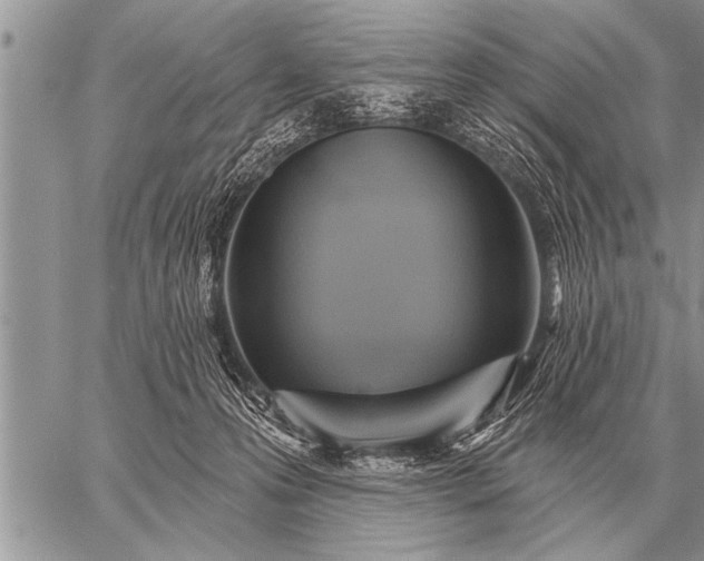 X0000059040223200510171856