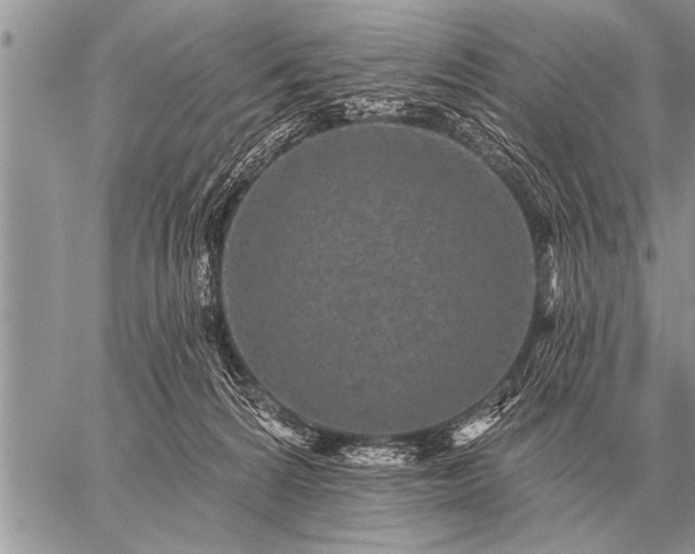 X0000059040224200510171856