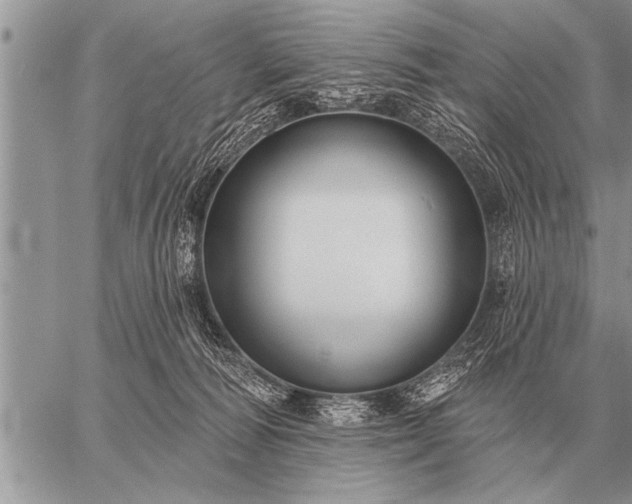 X0000059040226200510171856