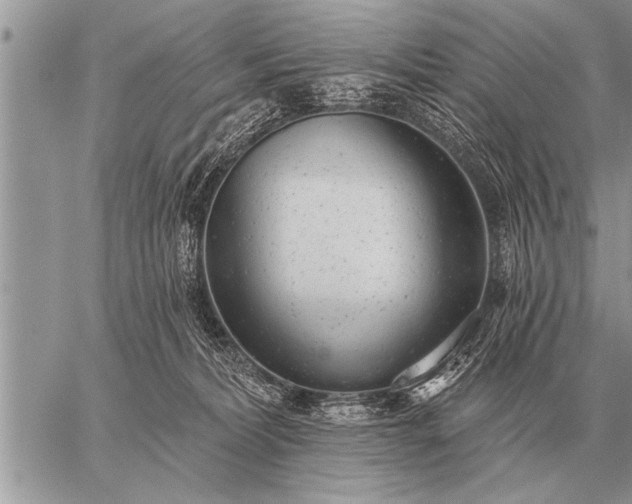 X0000059040228200510171856