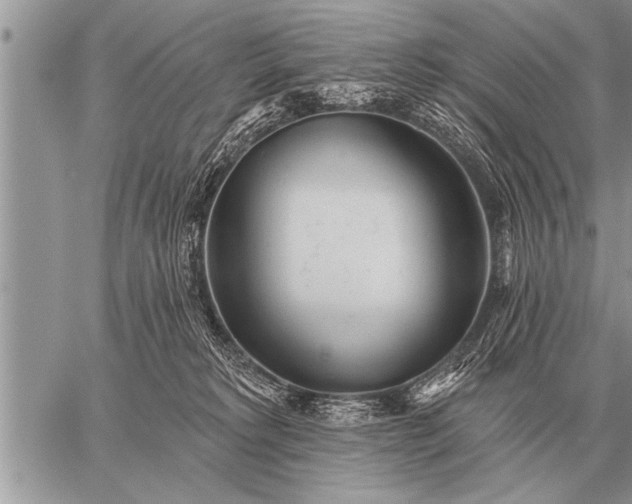 X0000059040229200510171856