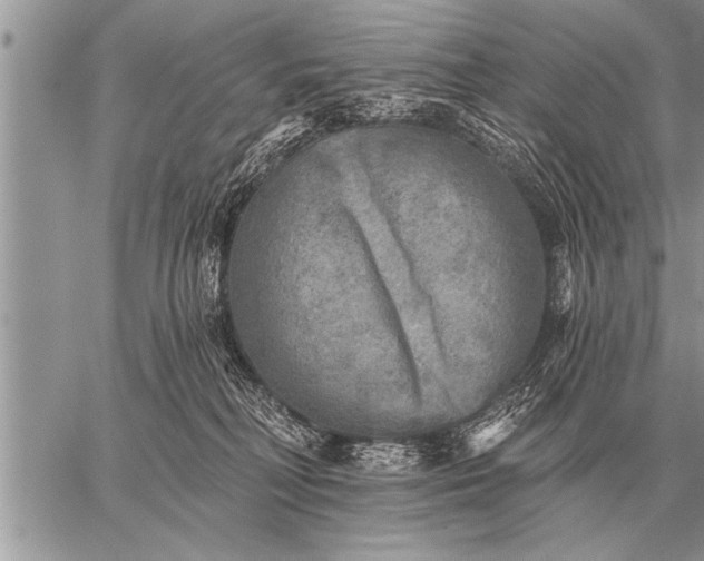 X0000059040230200510171856