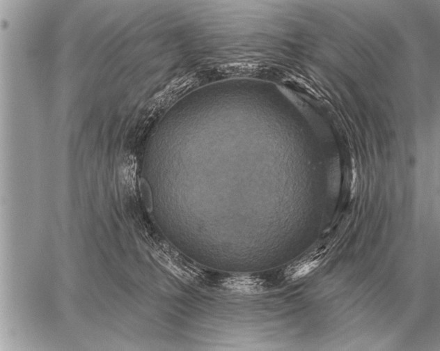 X0000059040231200510171856