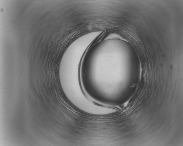 X0000059040233200510171856