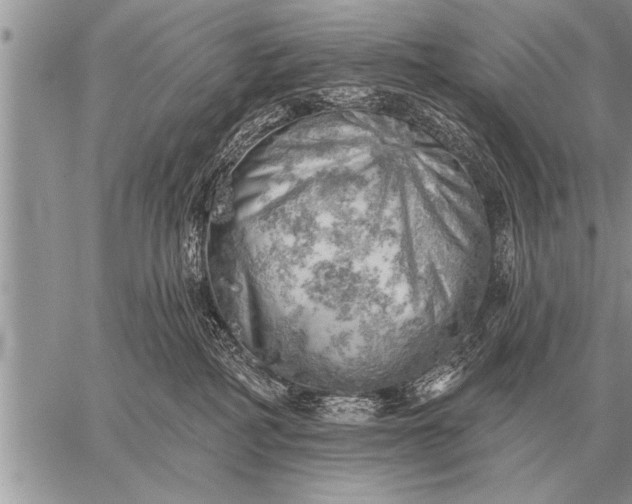 X0000059040234200510171856