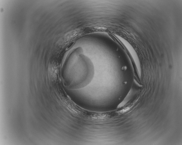 X0000059040235200510171856