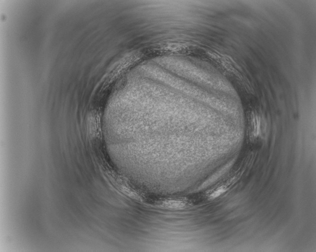 X0000059040236200510171856