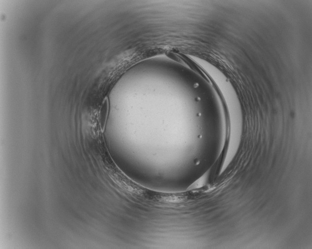 X0000059040237200510171856