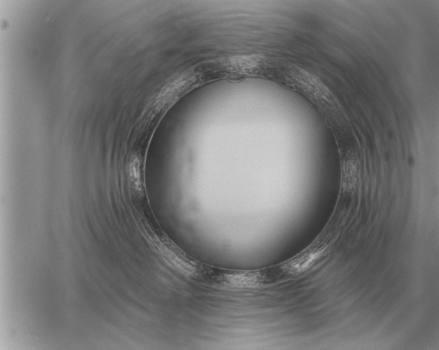 X0000059040238200510171856