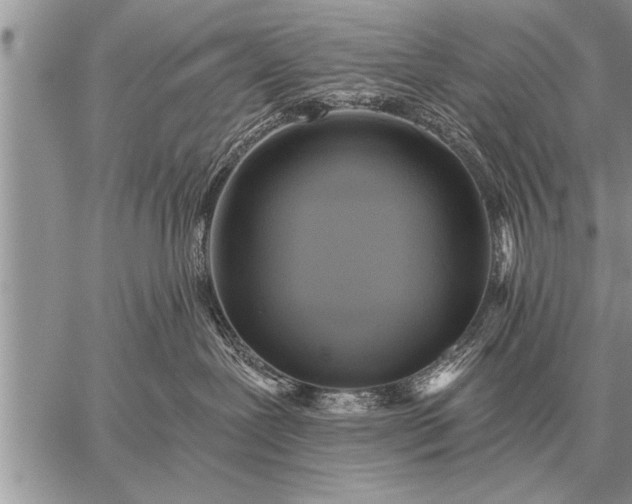 X0000059040239200510171856