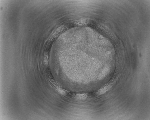 X0000059040240200510171856