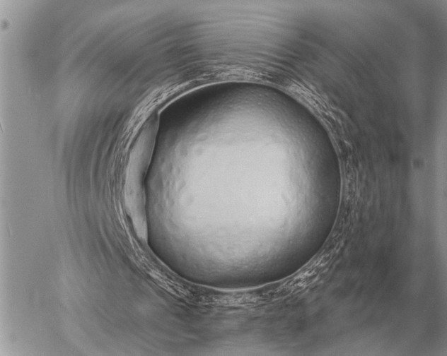 X0000059040241200510171855