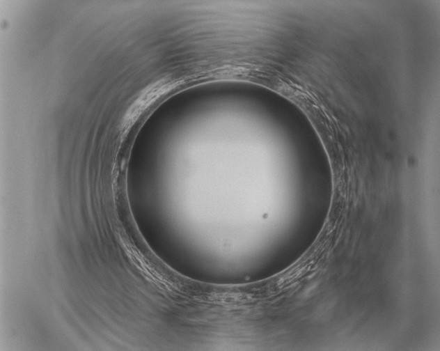 X0000059040242200510171855