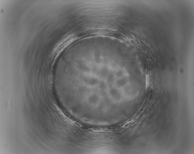 X0000059040243200510171855