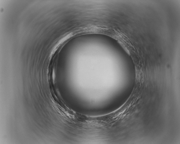 X0000059040244200510171855