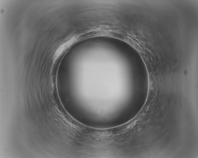 X0000059040245200510171855