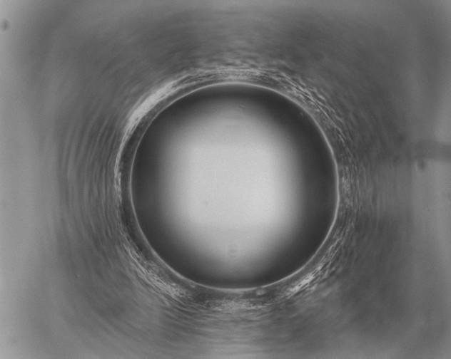 X0000059040246200510171855