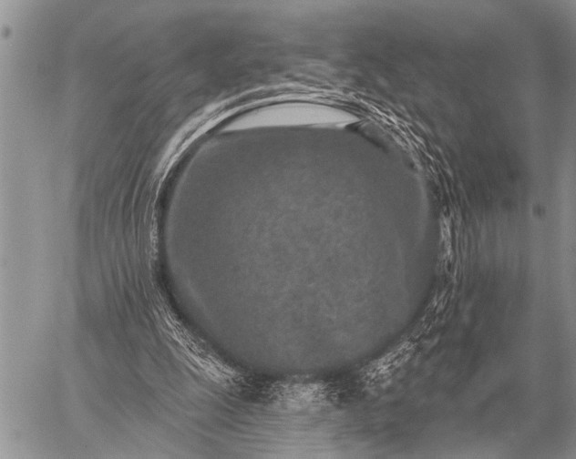 X0000059040247200510171855