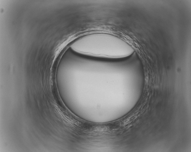 X0000059040248200510171855