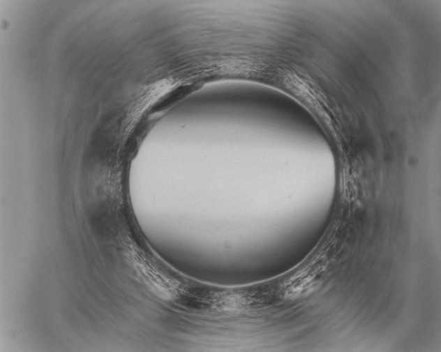 X0000059040249200510171855